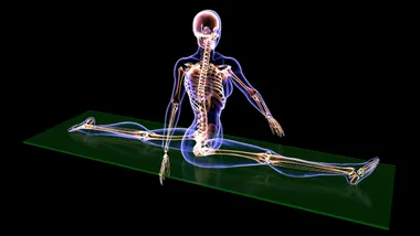 Зображення livescience.com