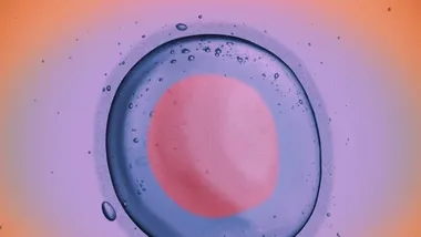 Зображення TS