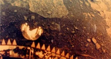 Чи існують ознаки життя на Венері?