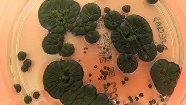 Зображення mymodernmet.com