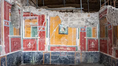 Зображення NYT