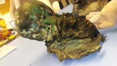 Зображення New Scientist