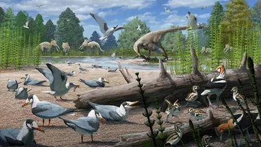 Зображення SciTechDaily