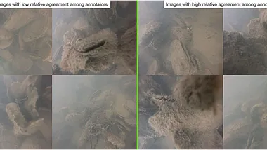 Зображення Phys