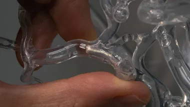 Зображення ZME Science