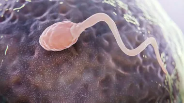 Ілюстративне зображення Freepik