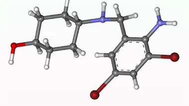 Зображення Sci.News