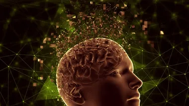 Ілюстративне зображення Freepik