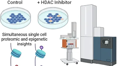 Зображення nature.com