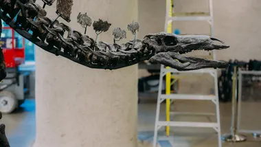 Зображення NYT