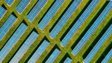 Фото Red Zeppelin