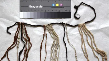 Зображення ZME Science