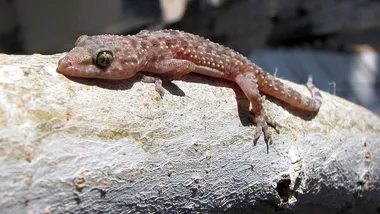 Зображення Universe Today