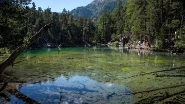 Ілюстративне зображення Freepik