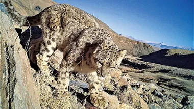 Зображення Sci.News