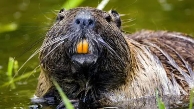 Фото Denitsa Kireva