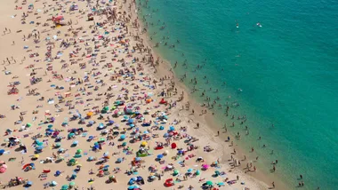 Зображення New Scientist