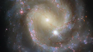 Зображення Sci.News