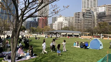 Зображення Phys