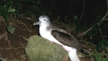 Зображення Sci.News