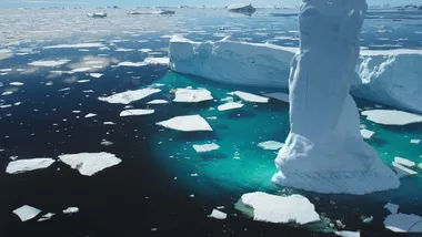 Зображення New Scientist