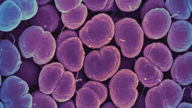 Зображення ZME Science