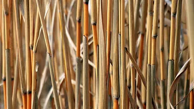 Зображення Phys