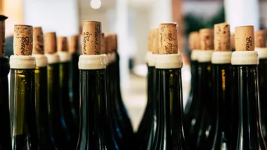 Фото Grape Things