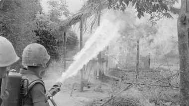 Зображення ZME Science