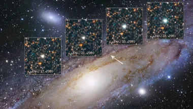 Зображення livescience.com