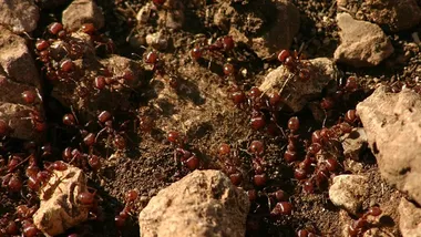 Зображення Watts Up With That？