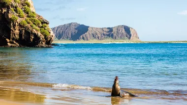 Зображення State of the Planet