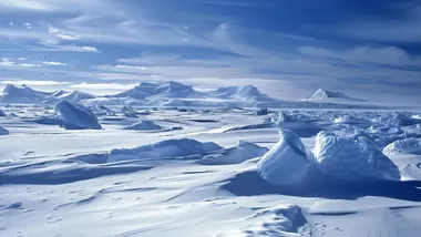 Зображення Watts Up With That？