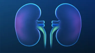 Ілюстративне зображення Freepik