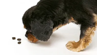 Зображення NYT