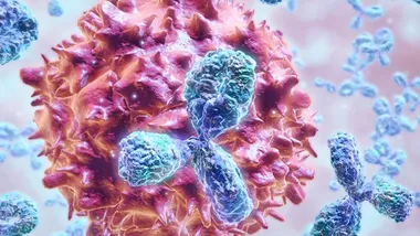 Зображення TS