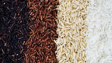 Ілюстративне зображення Freepik