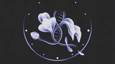 Фото ілюстрація Agnes Jonas