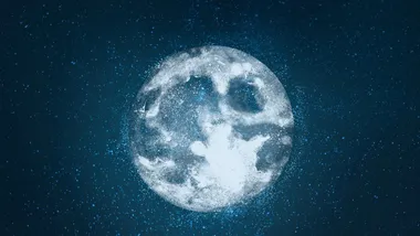 Ілюстративне зображення Freepik