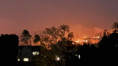 Зображення NSF