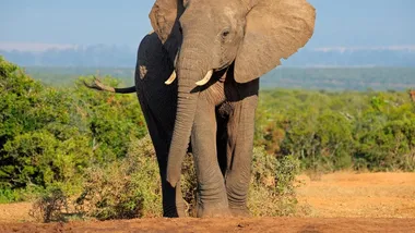 Зображення SciTechDaily