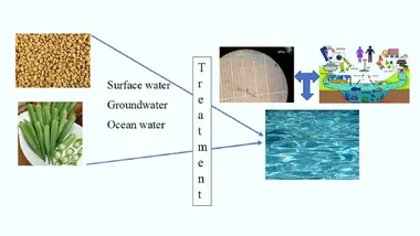 Зображення Sci.News