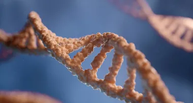 Чому редагування генома — це виклик навіть для найкращих вчених?