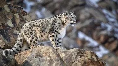 Ілюстративне зображення згенеровано ШІ, Freepik