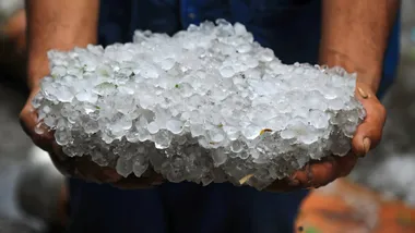 Зображення Phys