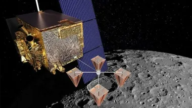 Зображення Christian Miki, University of Hawaii at Manoa