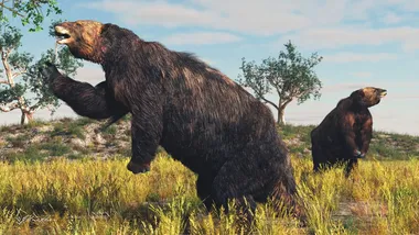 Зображення James Kuether, Science Source