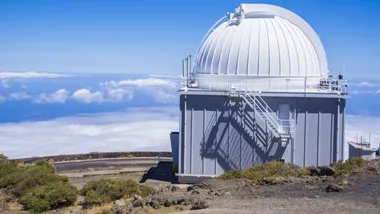 Ілюстративне зображення Freepik