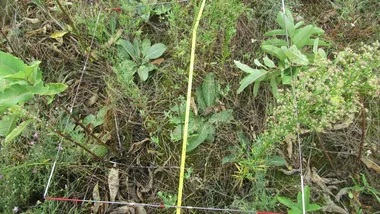 Зображення Phys