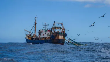 Зображення New Scientist